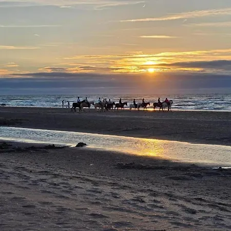 On Belgian Coast With Sea Views, Cleaning Included *